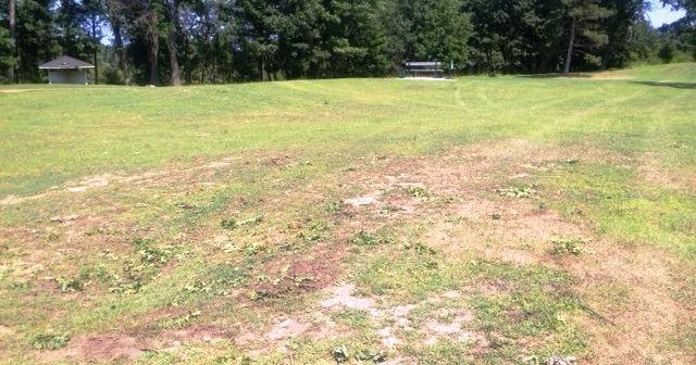 Stevens Point: Tree-lined layout at Stevens Point CC gets new life ...
