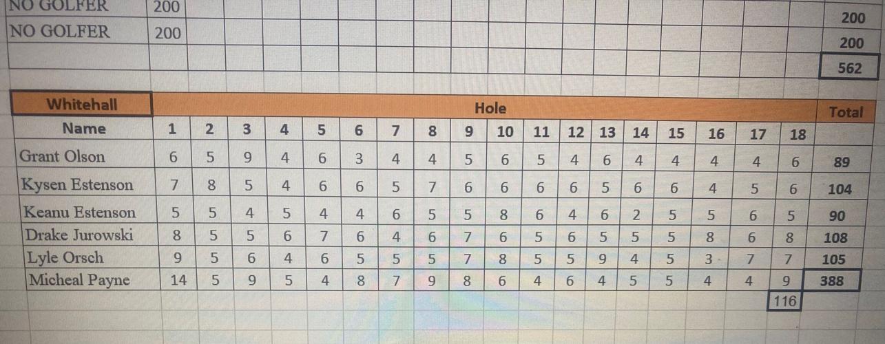 HS Boys Golf 2024 Dairyland Conference Championship (Trempealeau