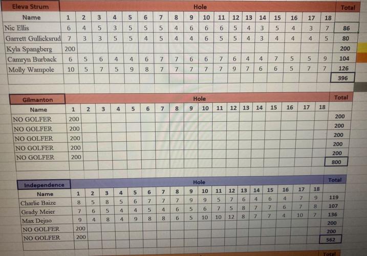 HS Boys Golf: 2024 Dairyland Conference Championship (Trempealeau