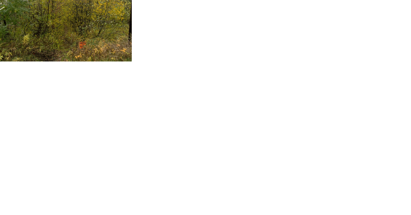 Rhinelander City Council approves new walking trail on the Westside of the city - Vimarsana News