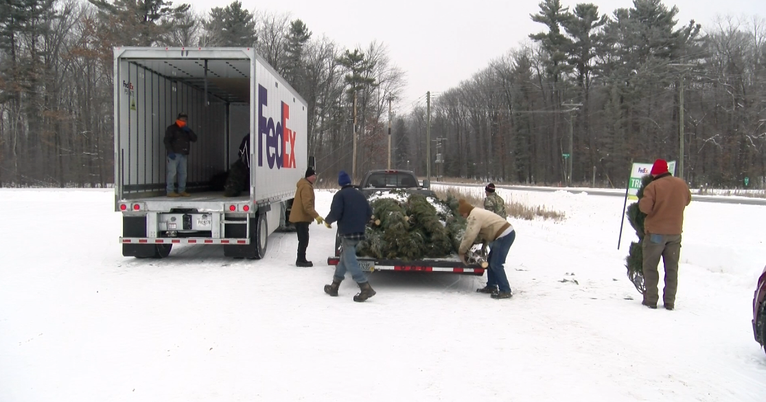"It's a good reminder of home": Wisconsin Christmas tree producers donate trees to military members