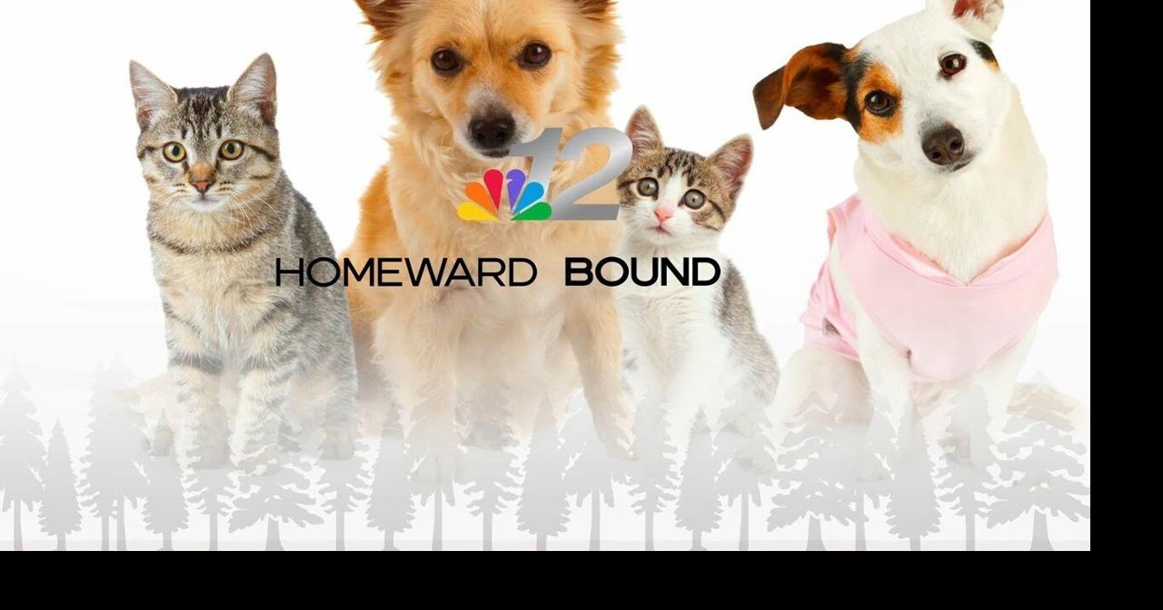 Homeward Bound Lincoln County Humane Society 1-23-26 | Features | wjfw.com