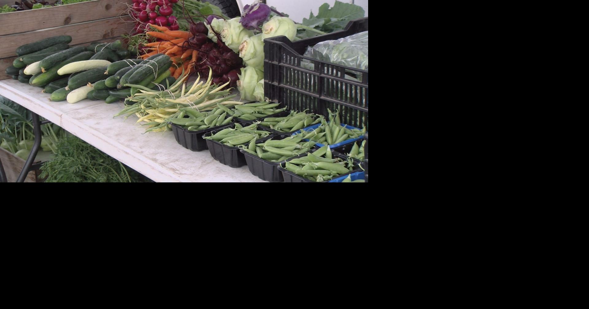 From greenhouses to gardens: Producers bring bounty of goods to Tomahawk Main Street Farmer's Market