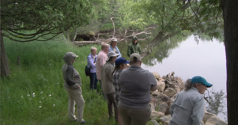 Field trip shows off the Oneida County Land and Water Conservation's restoration efforts - Vimarsana News