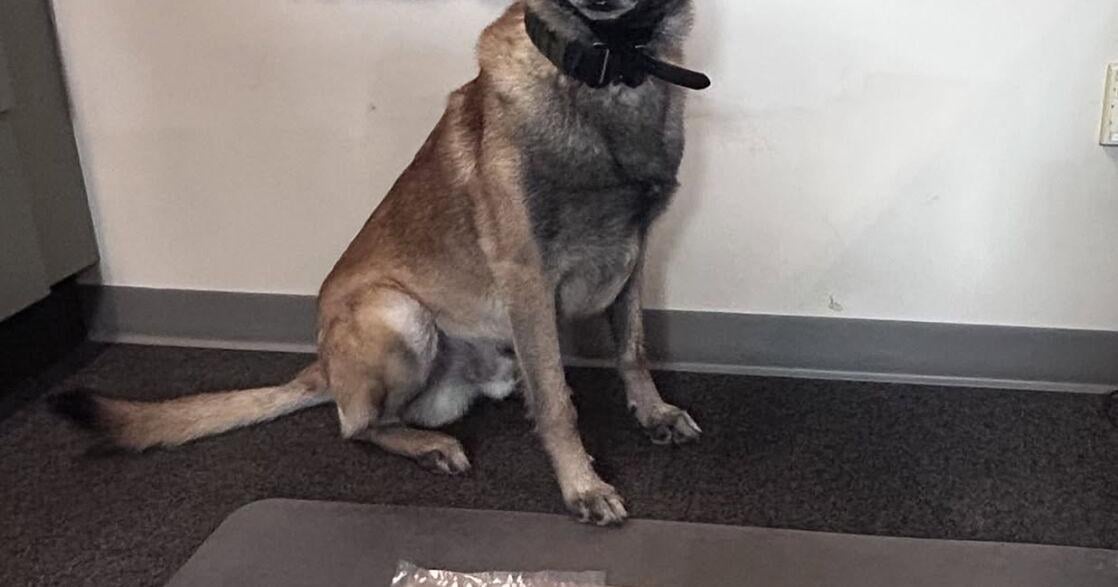 Two men arrested with large amount of meth after Antigo PD K9 alert