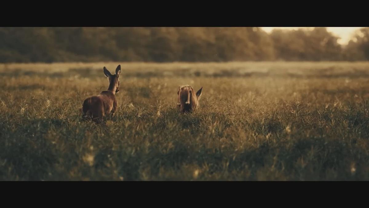 Green and gold movie made by iron river brothers news wjfw