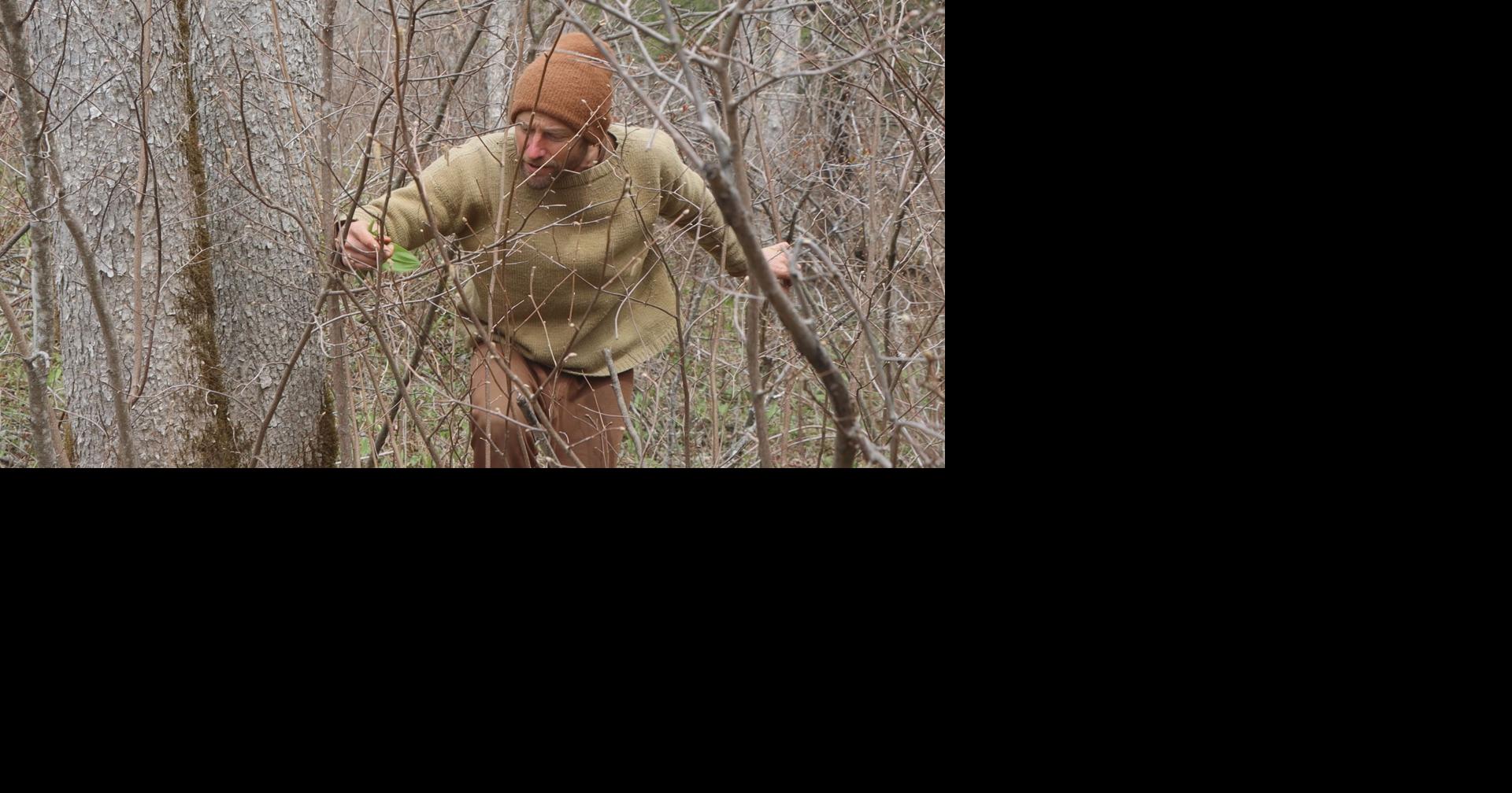 Wisconsin man challenges food norms by foraging all meals for entire year