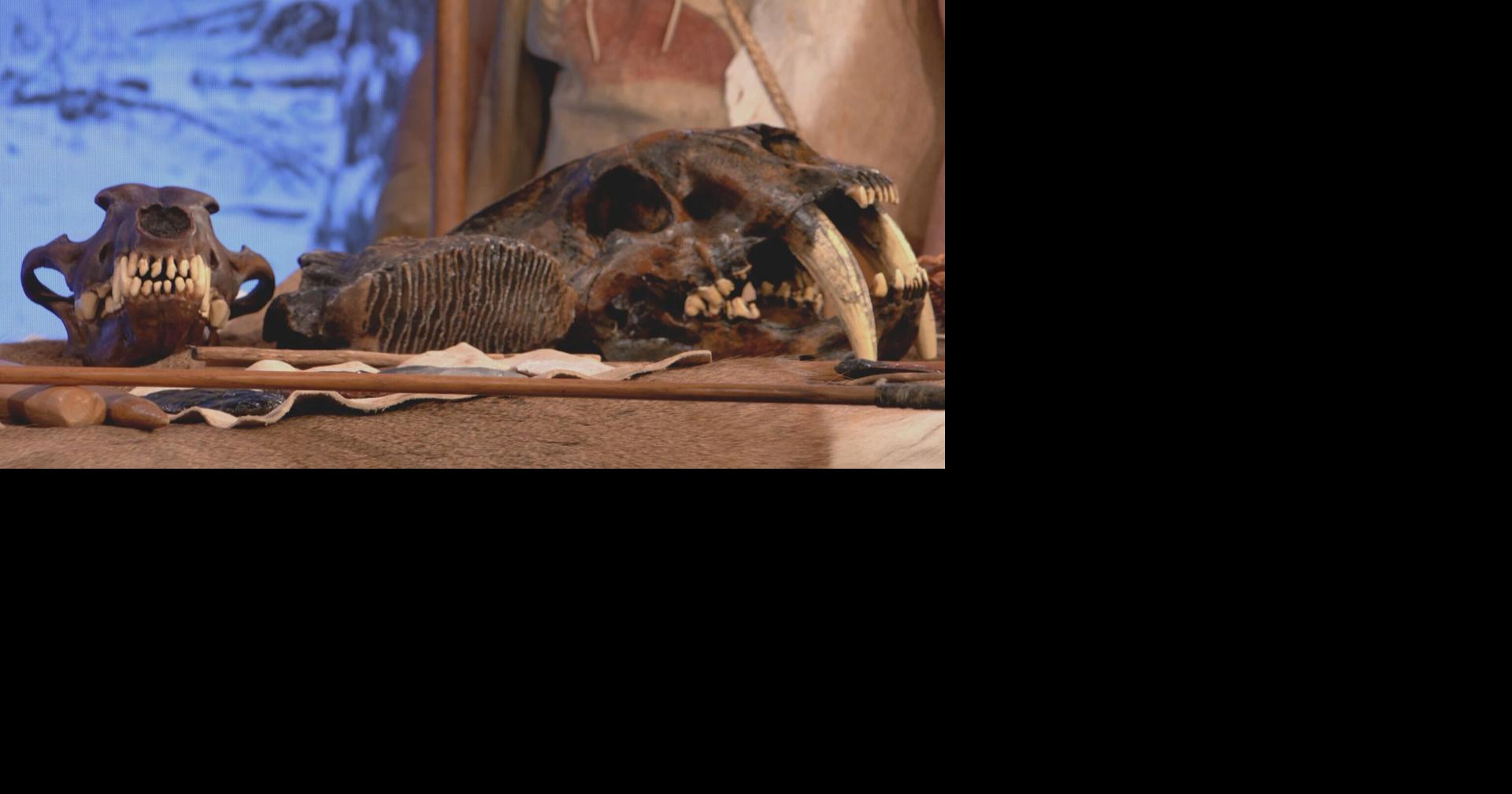 The Mammoth Hunter exhibit travels Wisconsin teaching people about the past