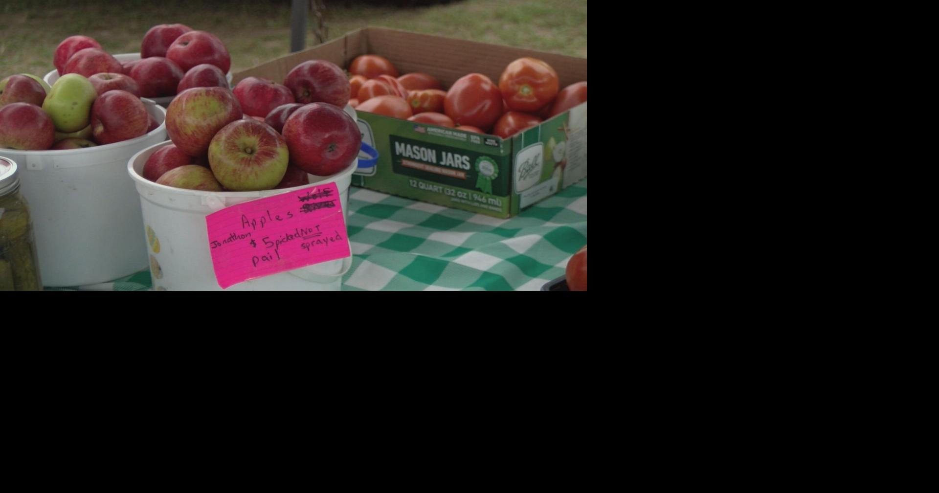 Local vendors at Merrill Area Farmers' Market talk challenges of dry northern Wisconsin summer