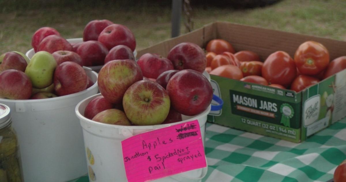 Local vendors at Merrill Area Farmers' Market talk challenges of dry northern Wisconsin summer