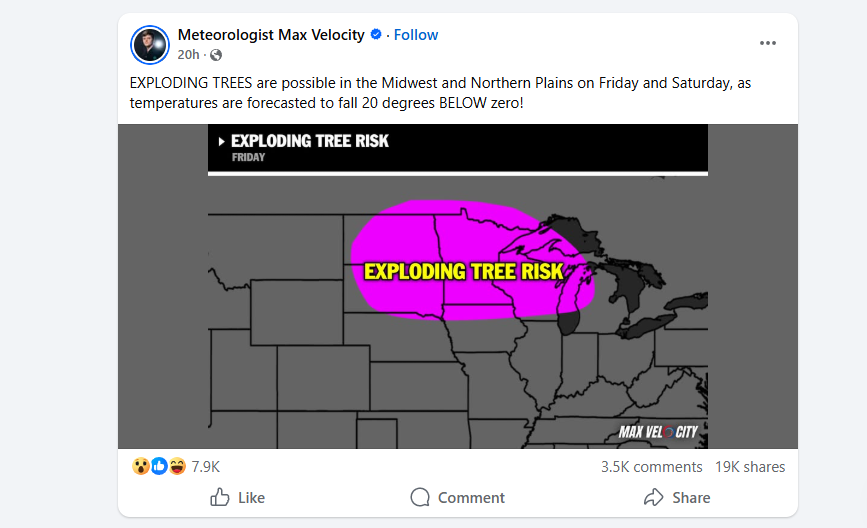Exploding Tree Alert Radar Map 'Frost cracking' is possible but