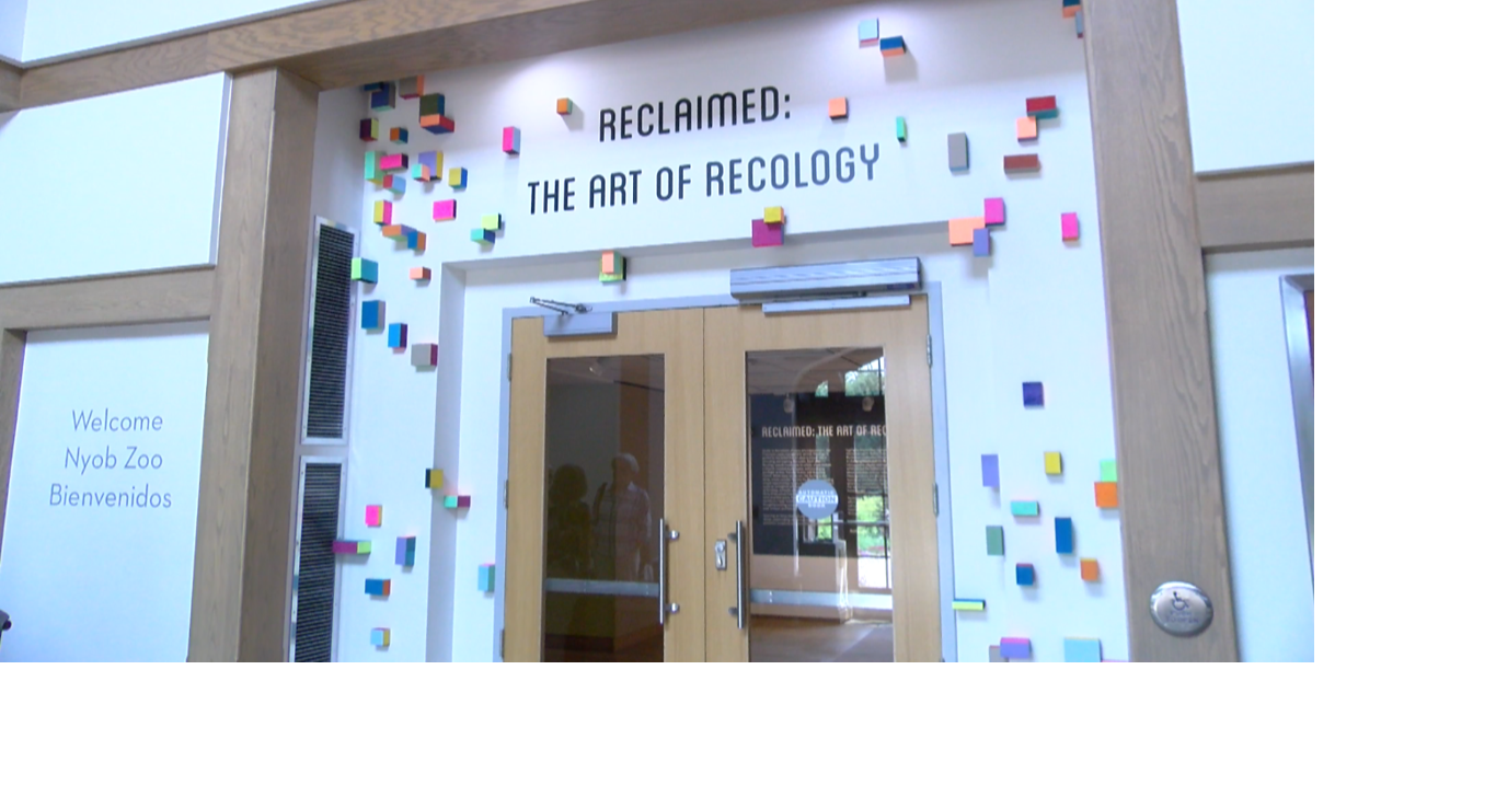 Wausau art museum new exhibit features art created from trash Local