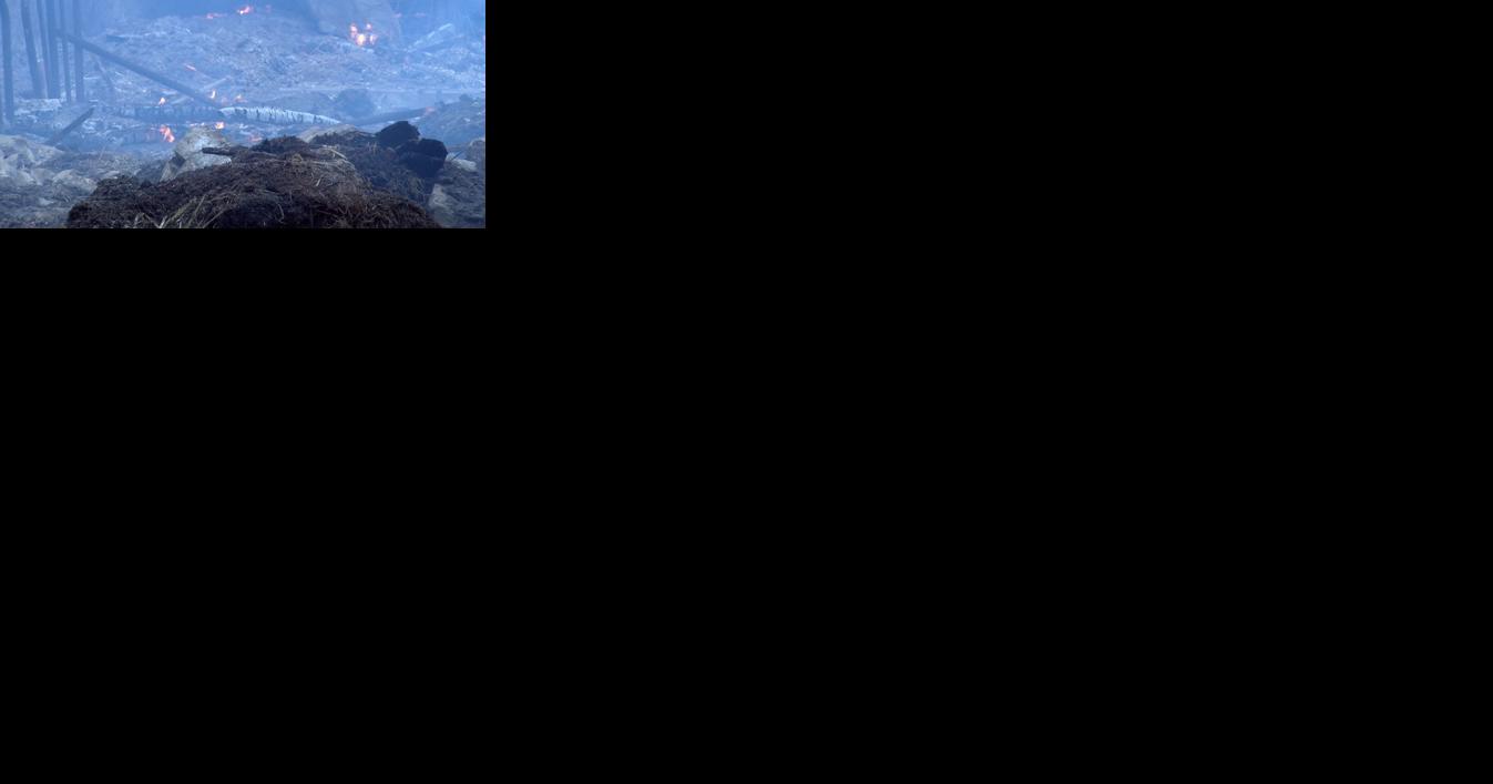 Wasuau area barn burns down; several pigs died - Vimarsana News
