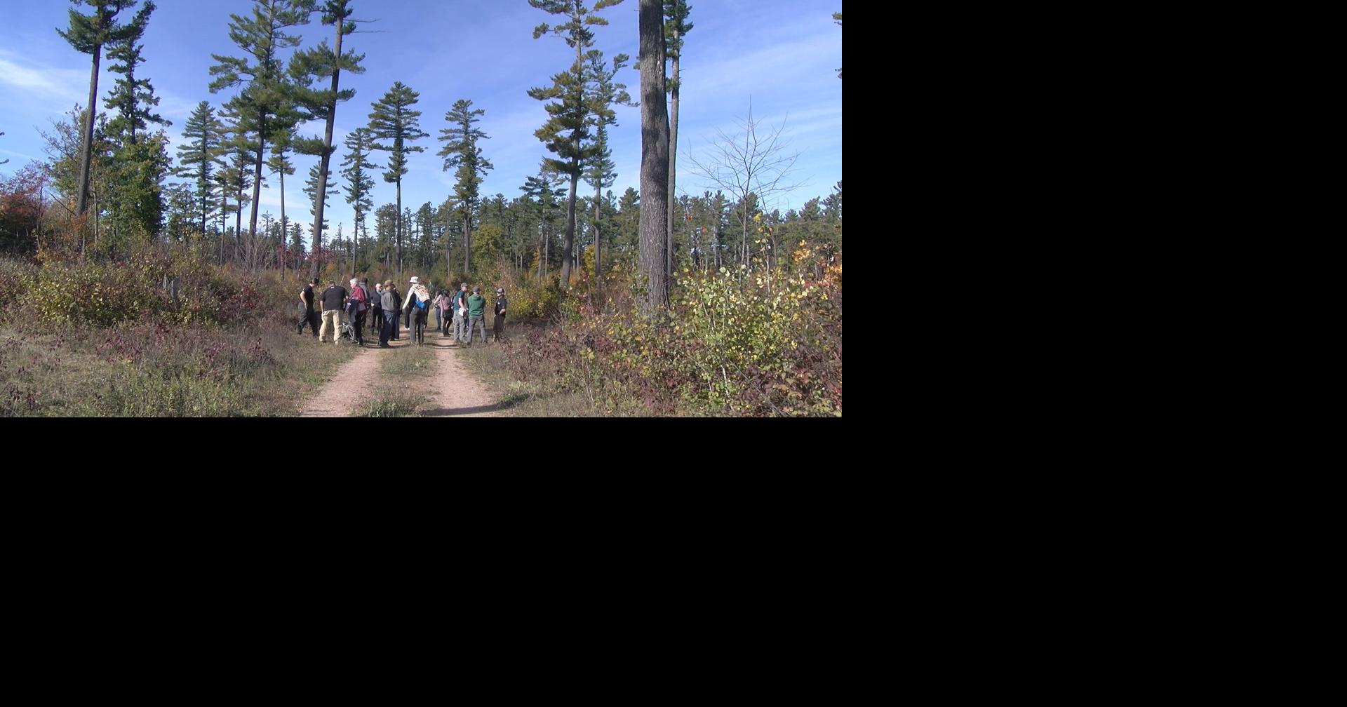 Menominee Tribal Enterprises sets sustainable forestry example | Local ...