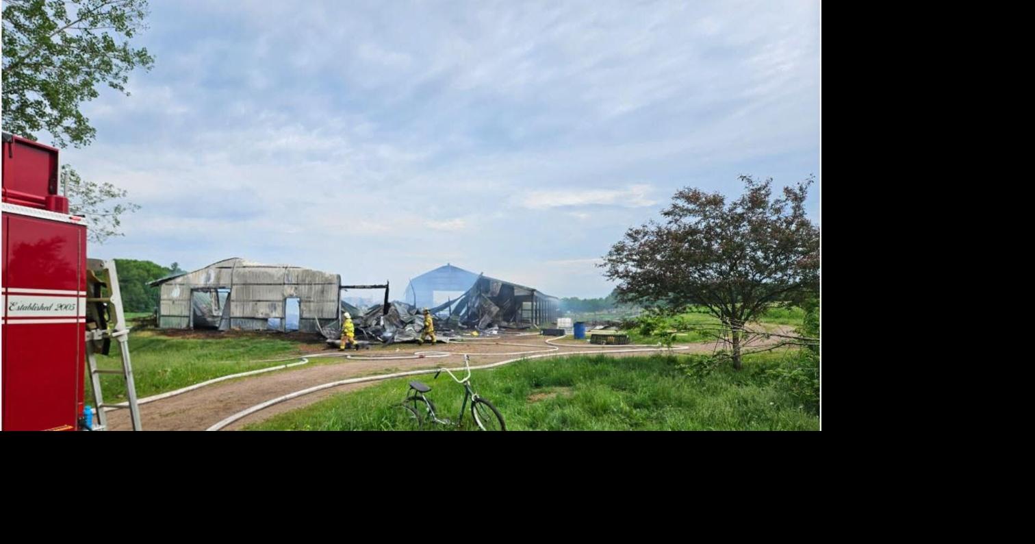 Some animals lost in Pine River barn fire on Monday morning