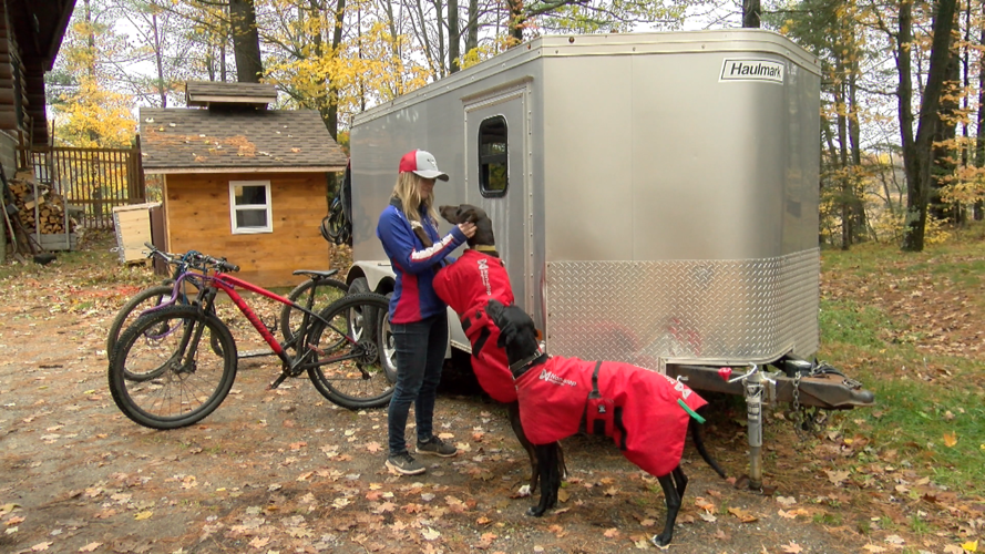 Rhinelander dog musher to compete in Spain for World Championship News