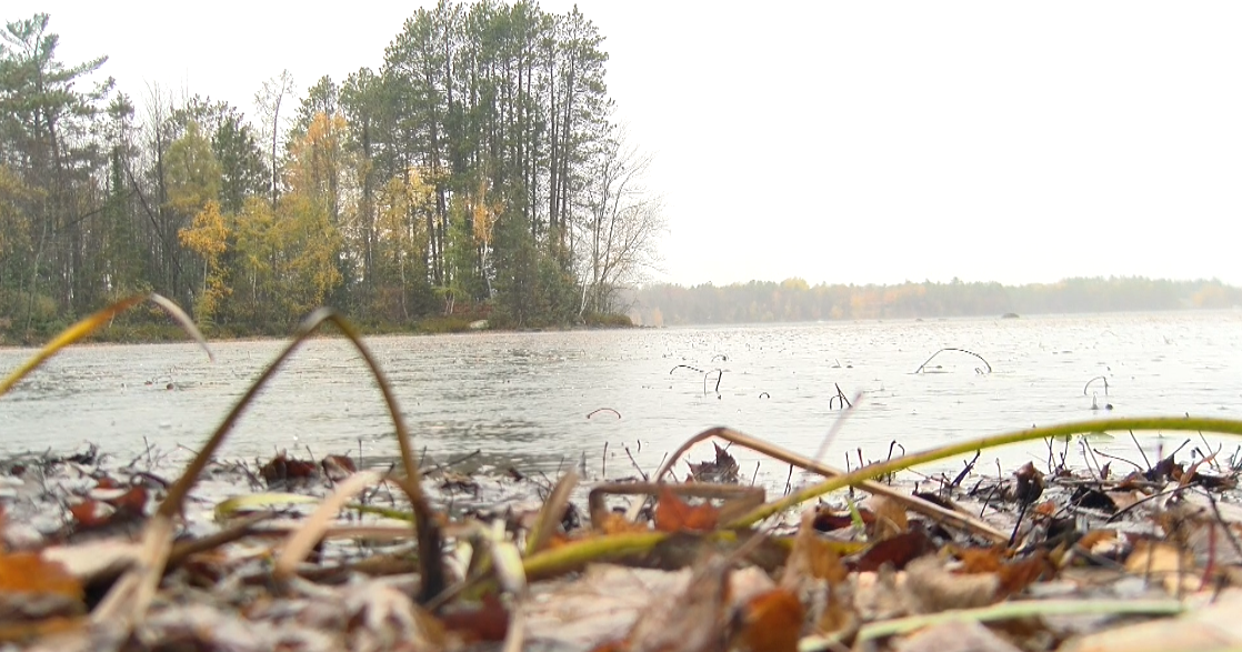 Local nonprofit advocates for increased shoreline protections in Oneida County