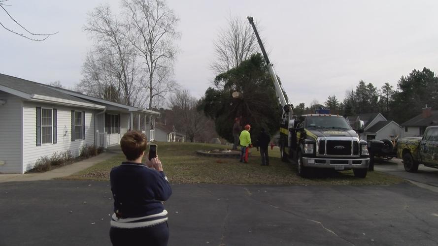 Wisconsin capitol holiday tree cut down in Rhinelander News