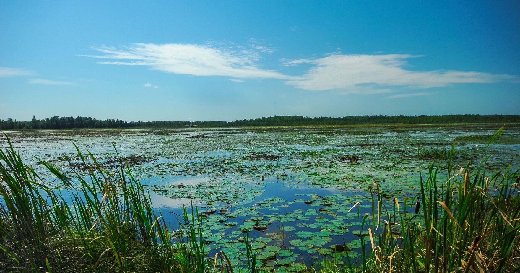 DNR asking for public comment on management plan for Spur Lake in Oneida County - Vimarsana News