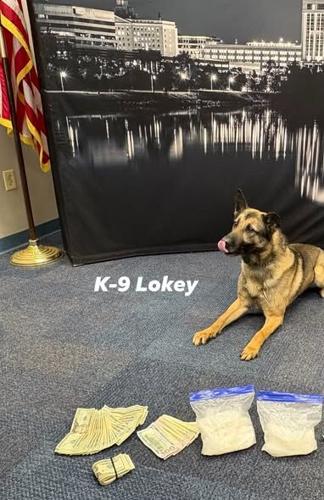 Two arrested for drug trafficking in Wausau after K-9 sniffs out meth ...