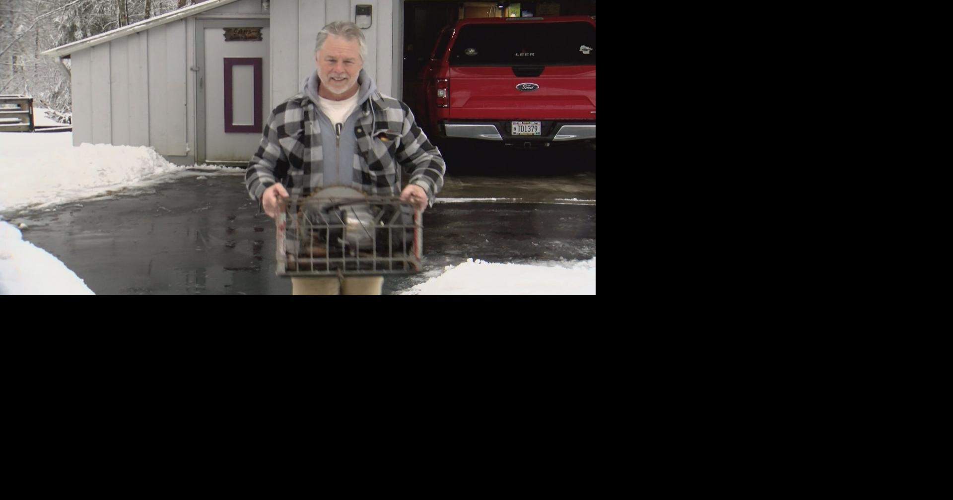 Wisconsin artist bringing new iron Hodag sculpture to Rhinelander this summer