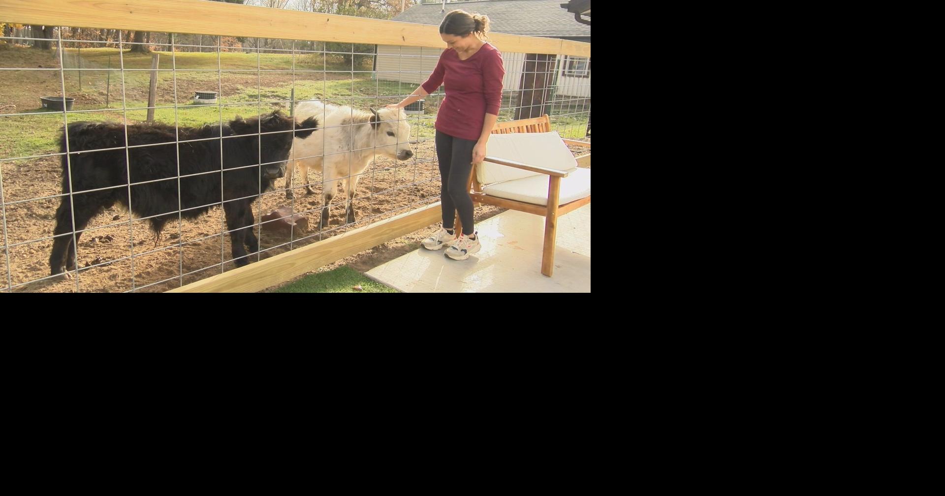 Oneida County reaches 5-year high in new business loans