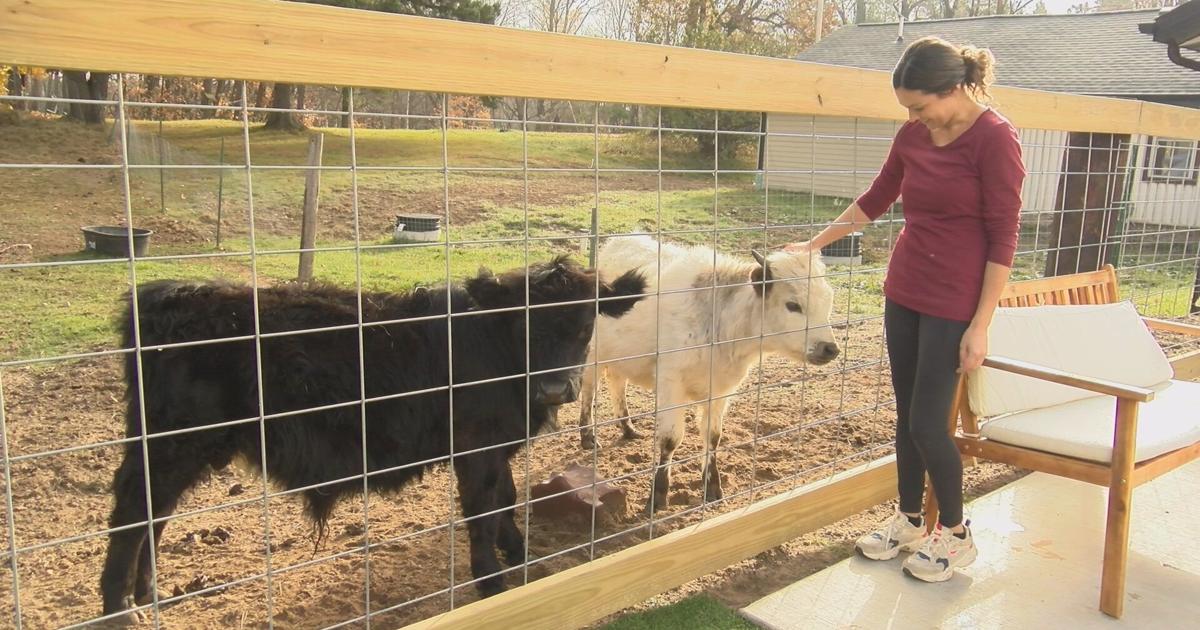 Oneida County reaches 5-year high in new business loans