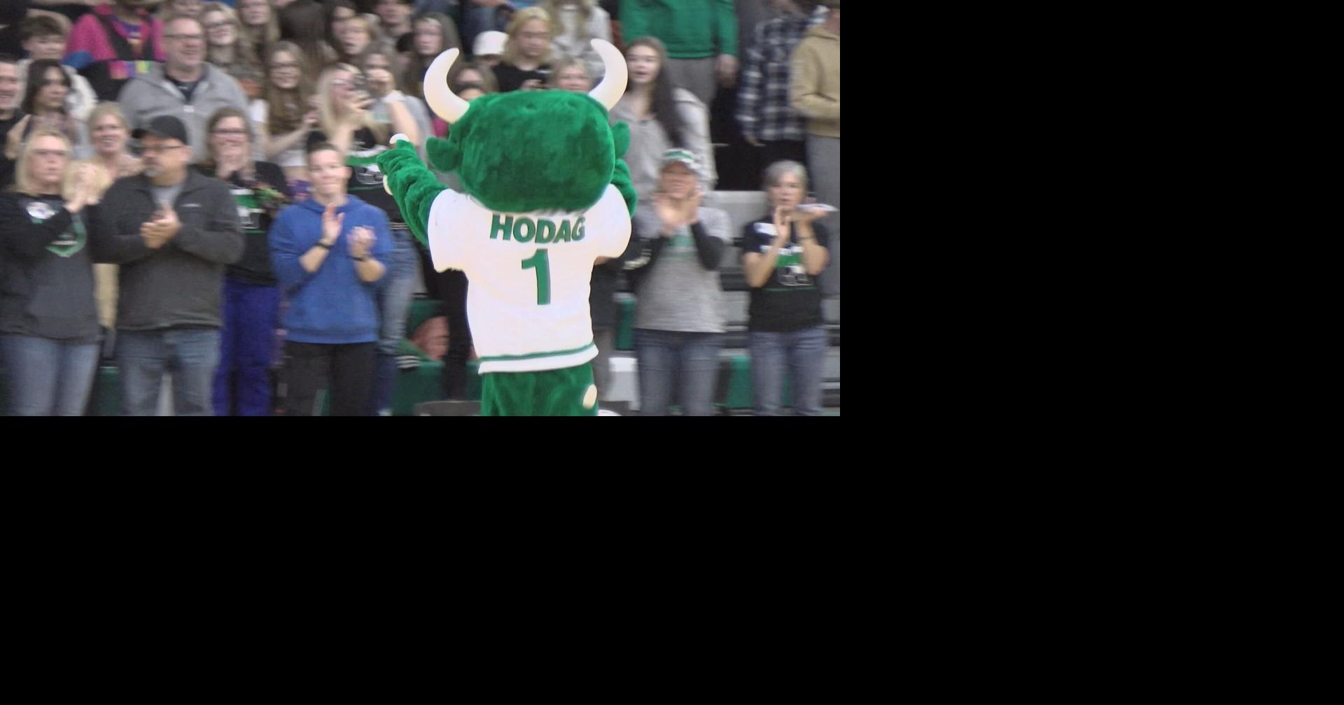 Rhinelander Hodags named best high school mascot in the country from a