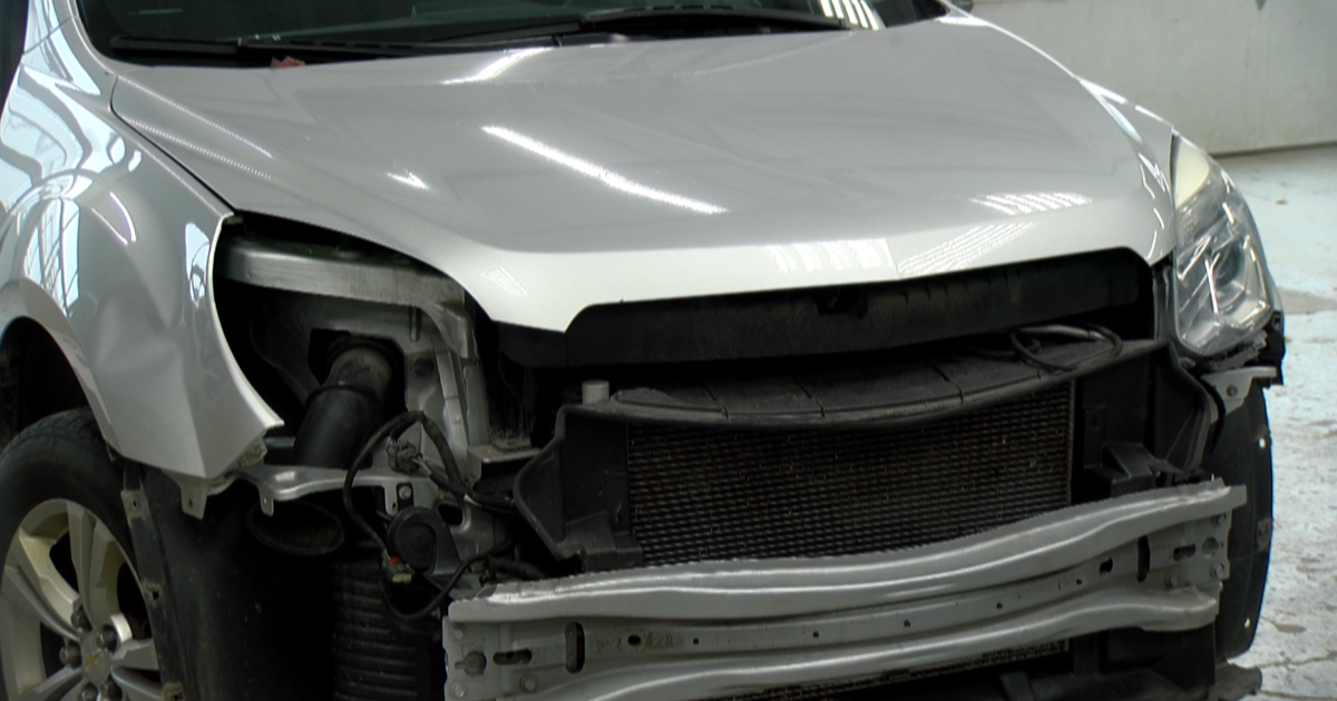 Veh In A Rut How to avoid deer-vehicle collisions during rut season | News | wjfw.com