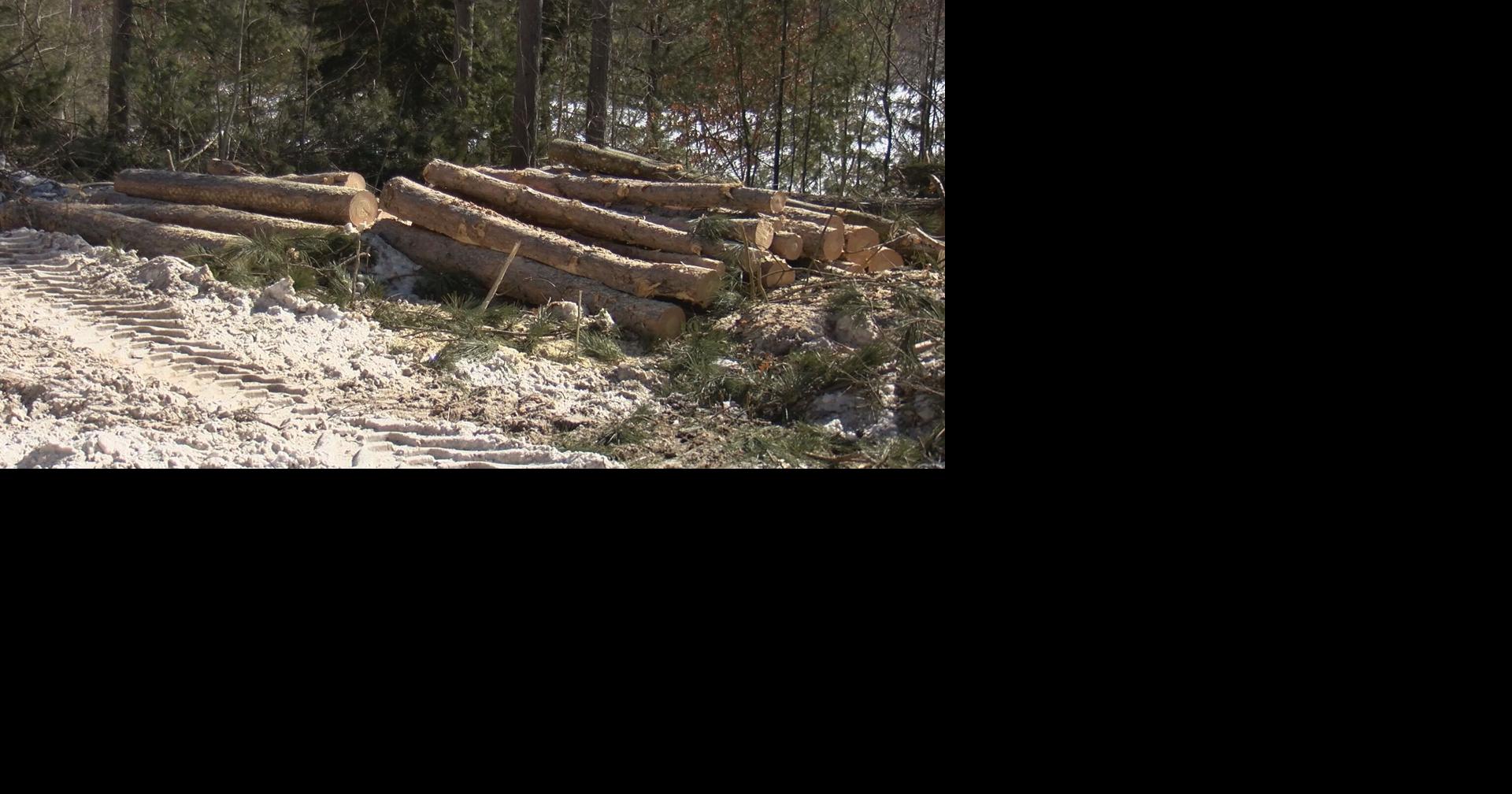 Northern Wisconsin is hotspot of Blastomycosis