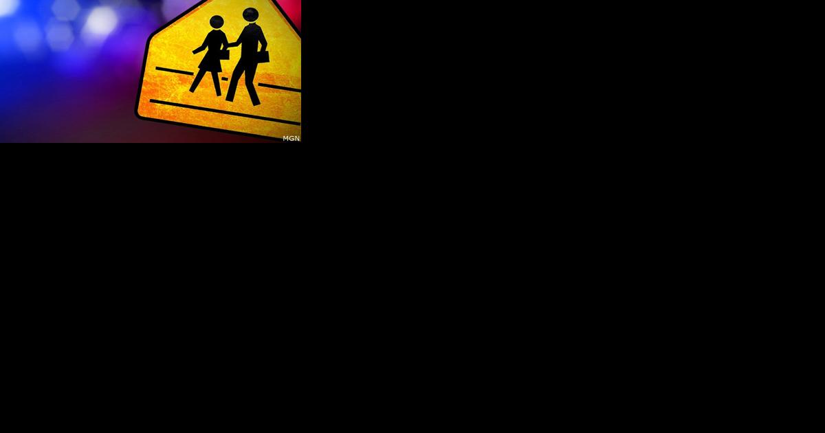 Elementary student hit by car in Rhinelander - Vimarsana News