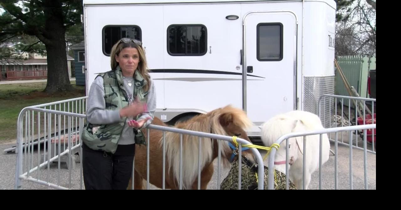 Fundraising event supports equine rescue efforts | | wjfw.com