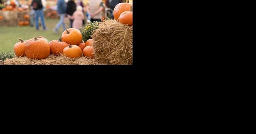 30th Annual Pumpkin Fest returns to Three Lakes on Oct. 14 - Vimarsana News