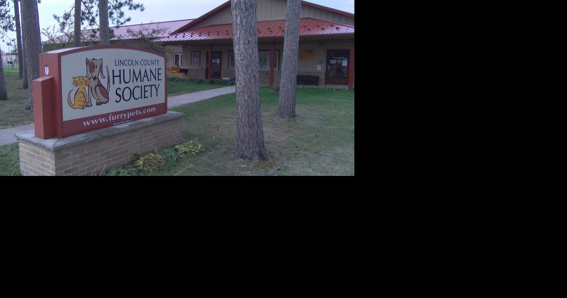Lincoln County Humane Society over capacity for cats | News | wjfw.com