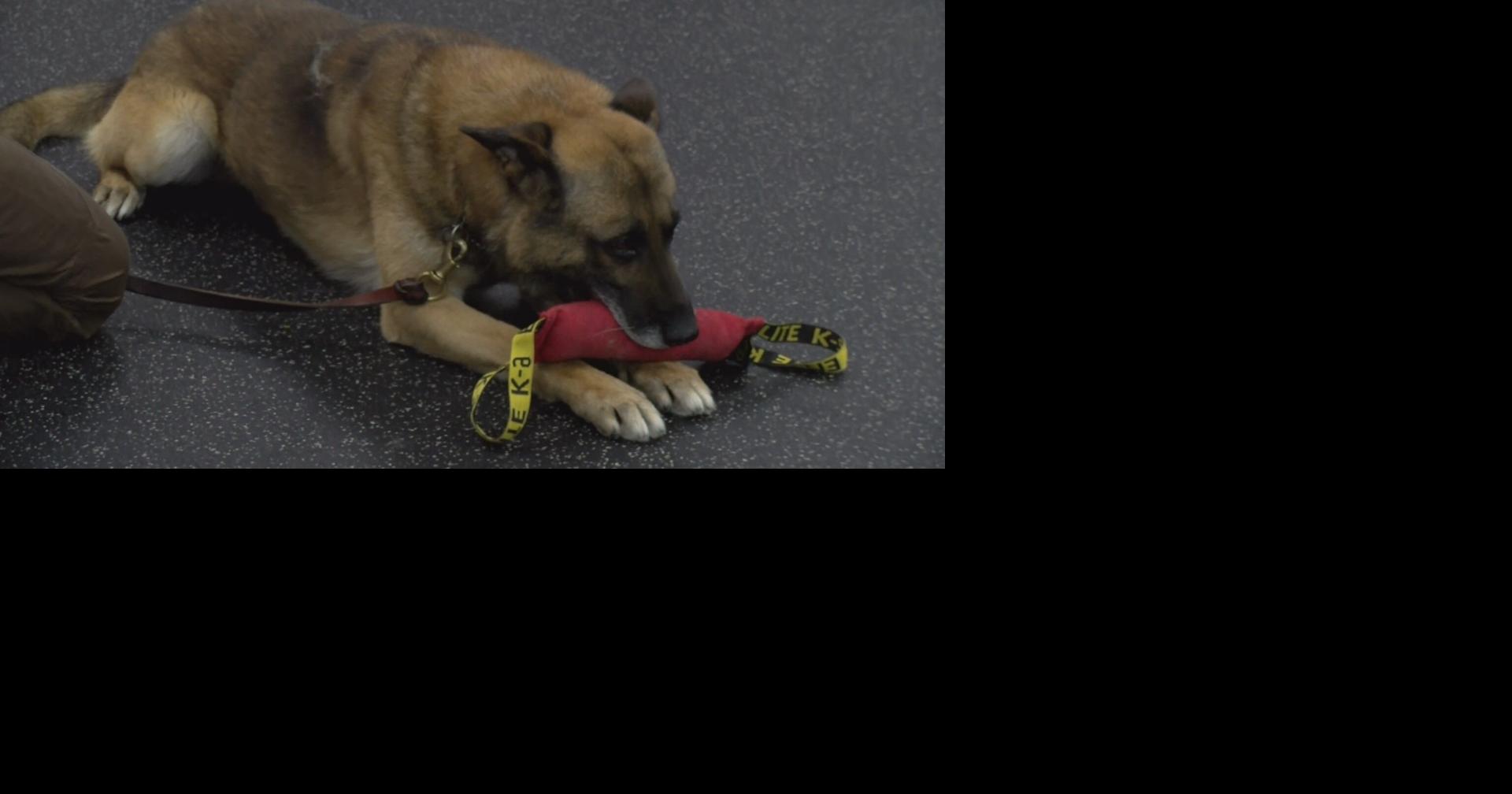 Local wellness center holds fundraiser for Vilas County K9 unit