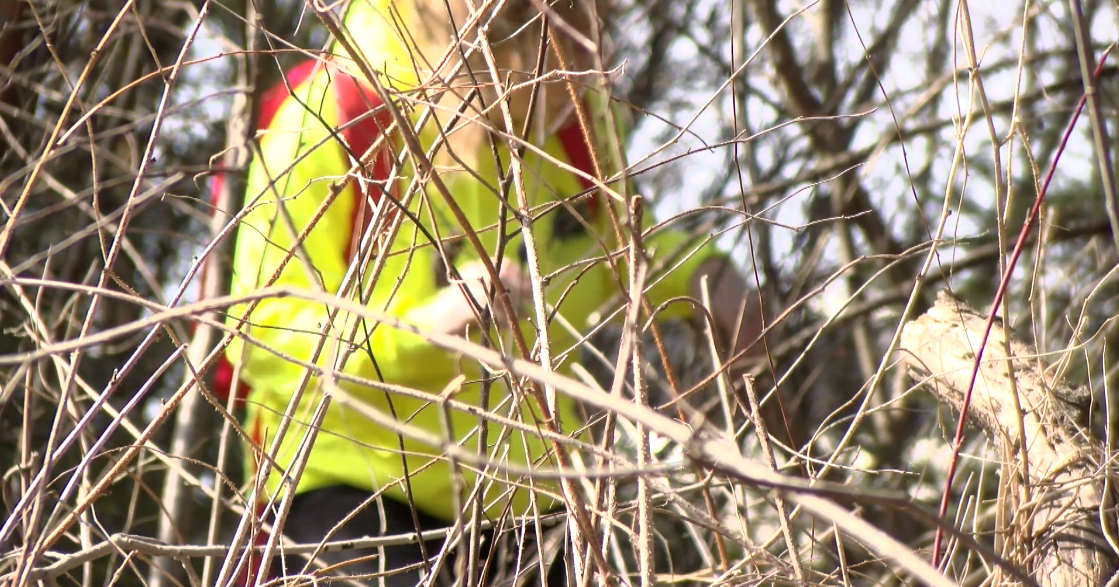 Community gathers Sunday to search for Jesse Yanske, aiming for closure