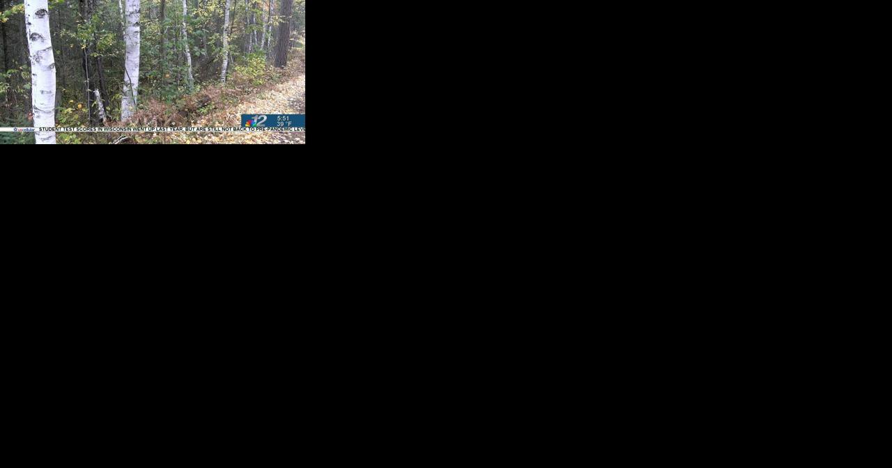 Using nature to lessen the effects of Climate Change - Vimarsana News