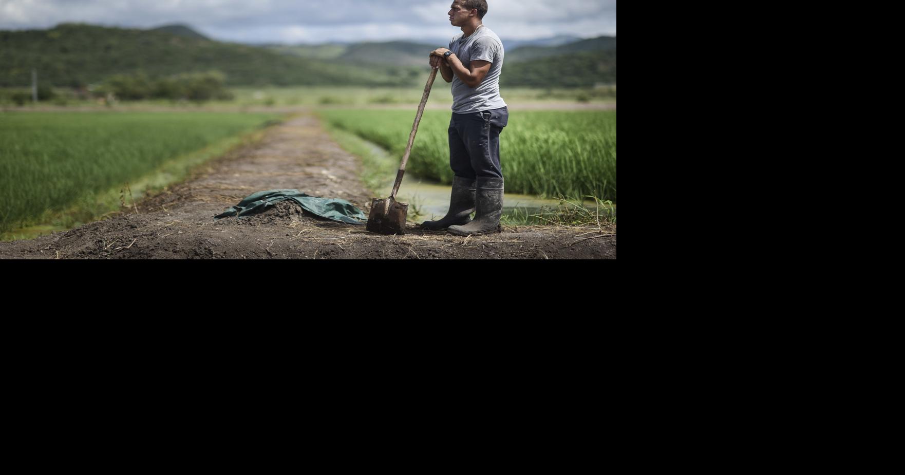 Puerto Rico Government Seeks to Expand Broadband Services to Rural ...