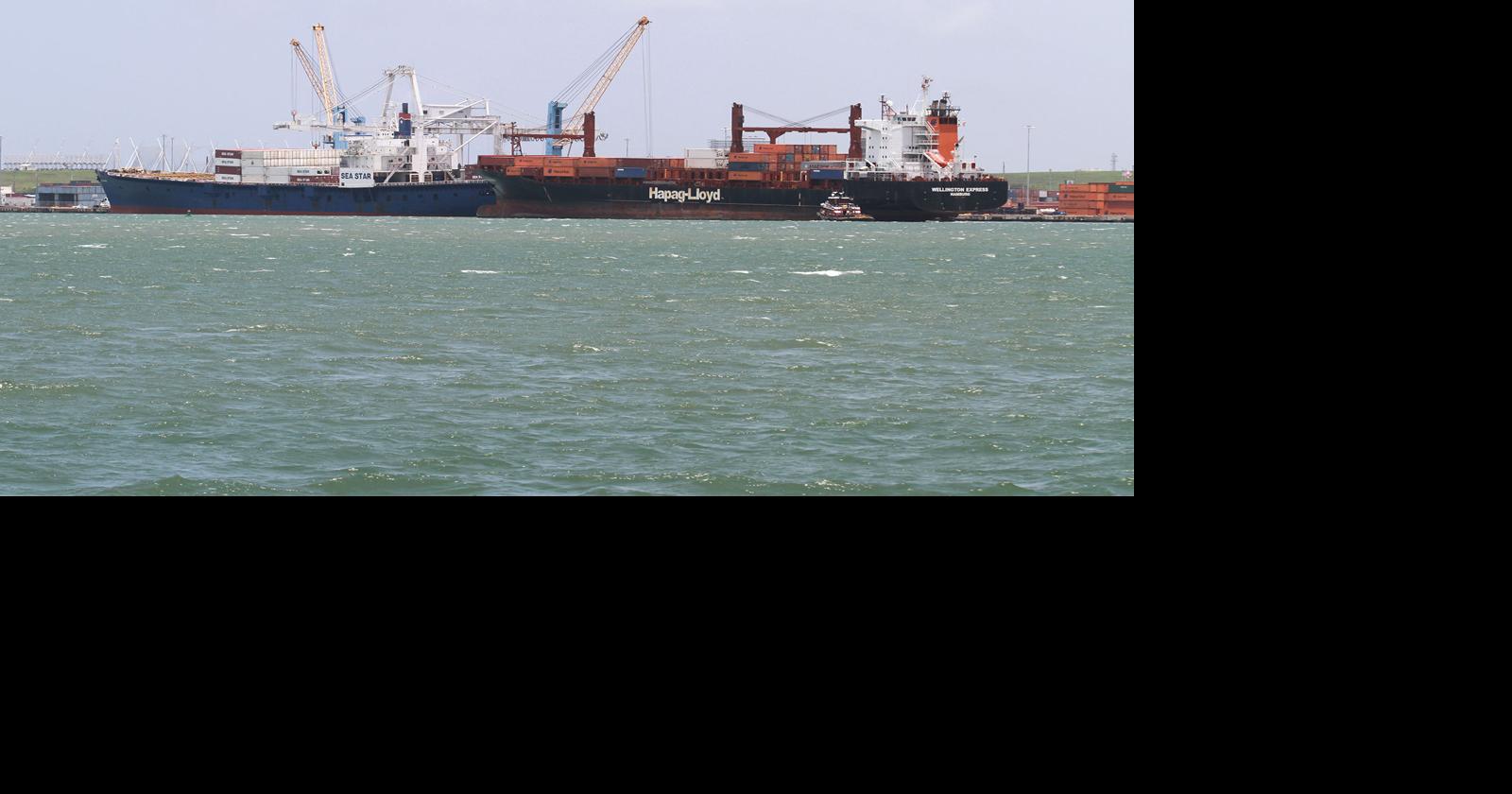 The Facts Behind the Container Stevedoring Services | Opinion ...