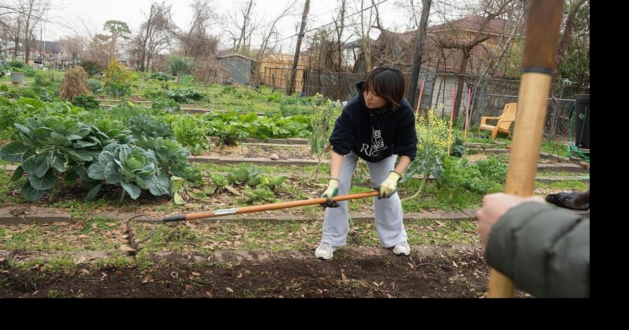 How urban farms can make cities more livable and help feed America