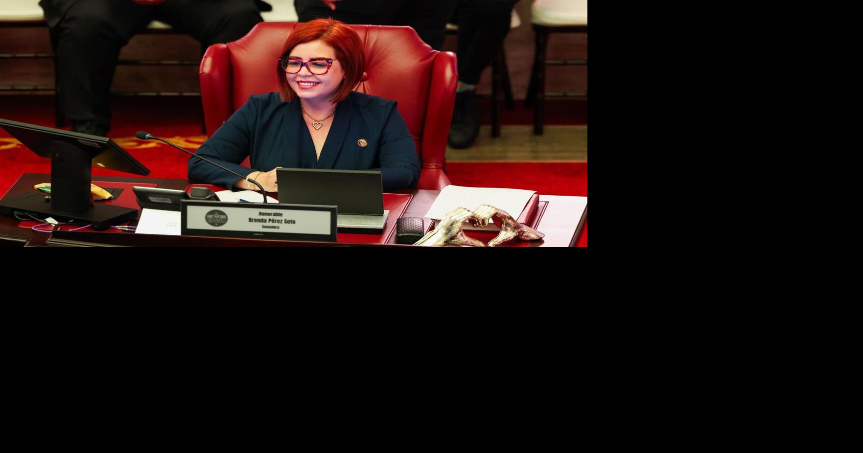 Senate offers support to municipalities in the Arecibo district to expedite federal funds