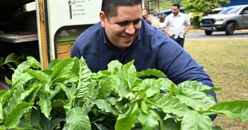 150 thousand trees distributed to boost the coffee industry