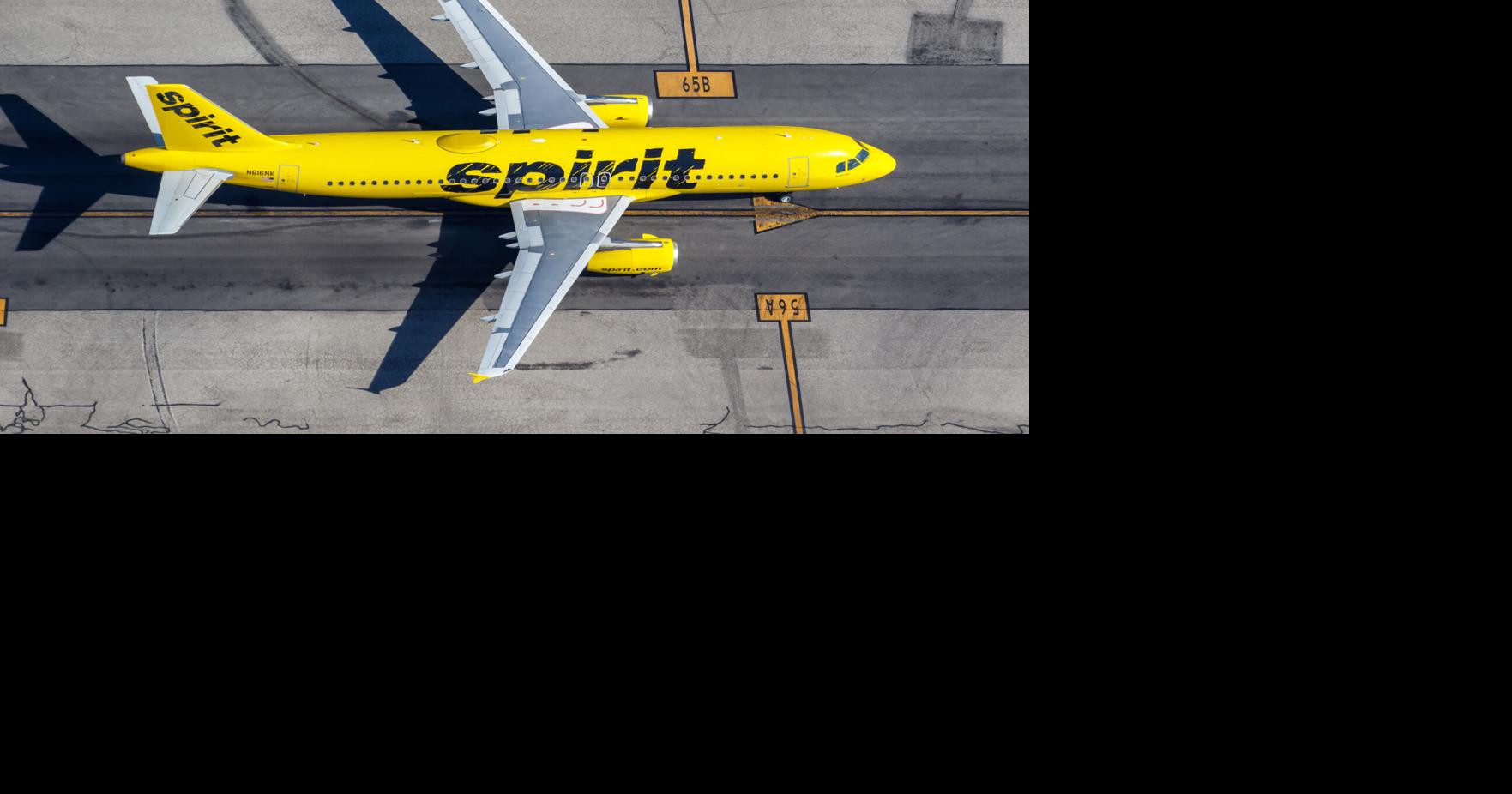 Government activates services for those affected by Spirit Airlines' departure
