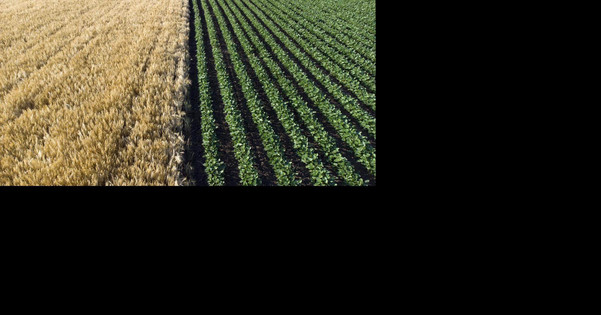 Department of Agriculture recommends farmers seek insurance protection against hurricanes