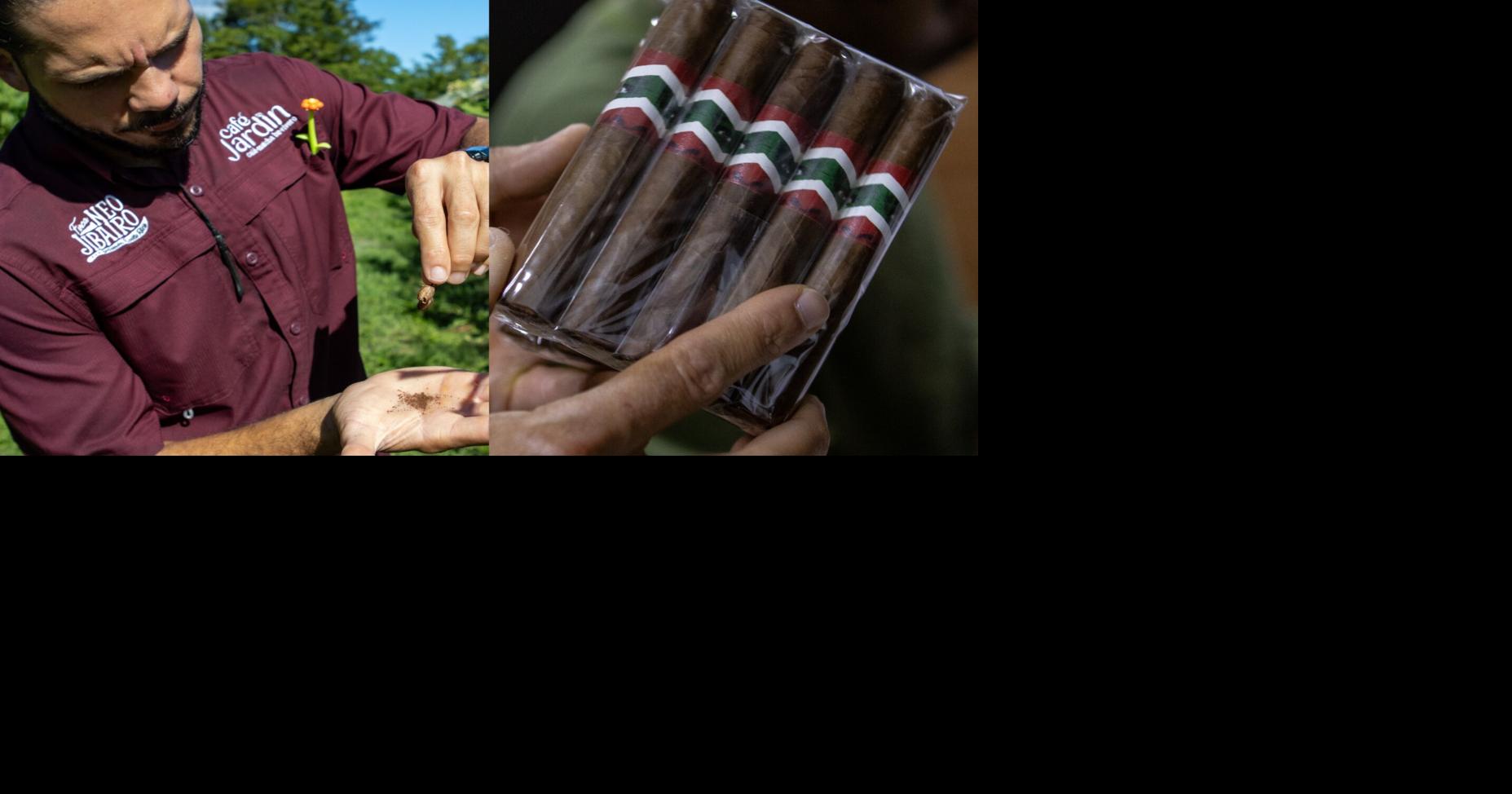 How does Finca Neo Jibairo diversify agritourism in PR? | Small Biz ...