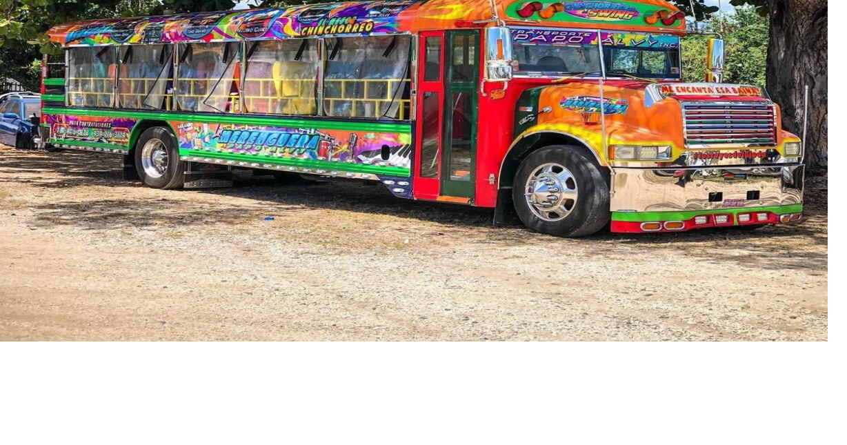 Chinchorreo on Wheels: The Business Behind Puerto Rico's Most Partying ...