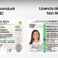 Puerto Rico Id Example Step by Step: How to Obtain a Real ID | Puerto Rico Living | wjournalpr.com