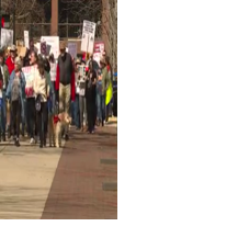 Veterans rally at Capitol to protest VA cuts