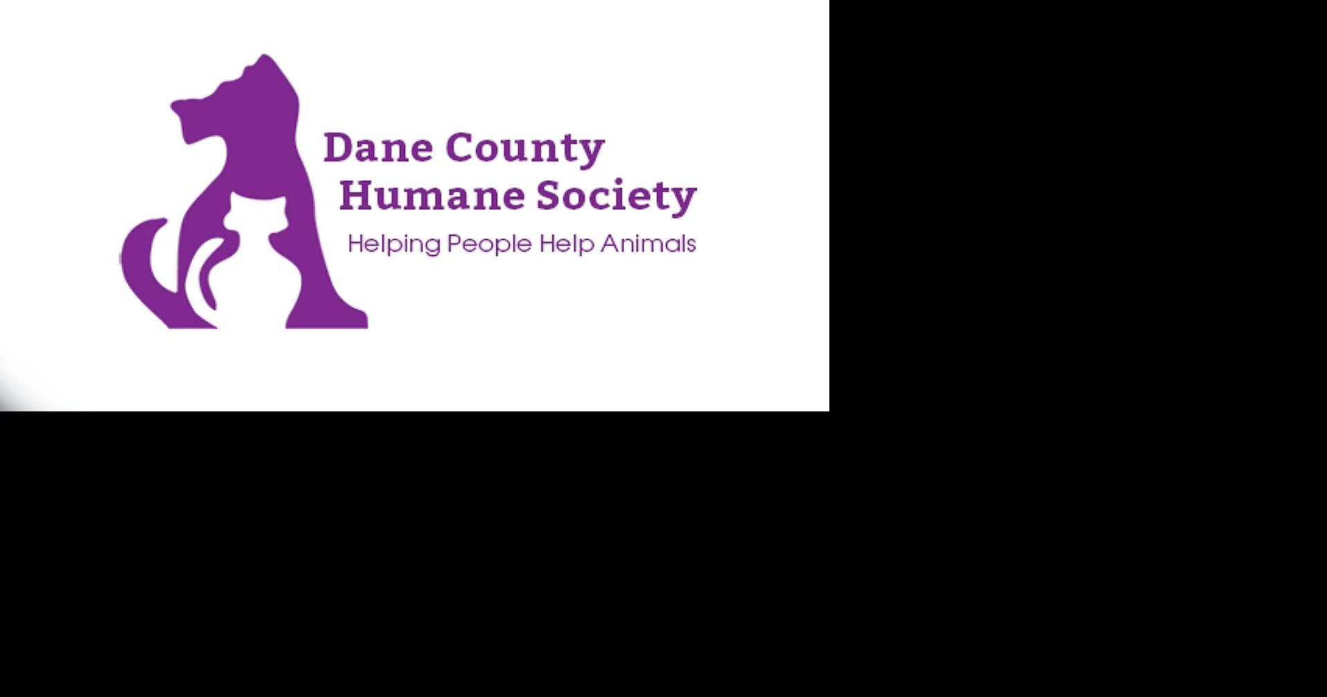 Dane County Humane Society to welcome cats from South Carolina shelter | News
