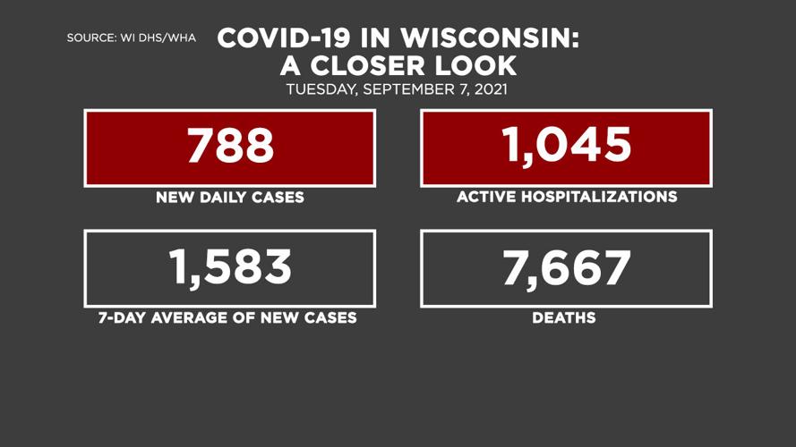 WHA Info Center - Coronavirus COVID-19 Dashboard